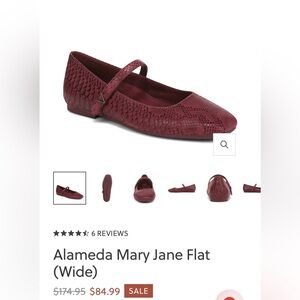Brand New Alameda Mary Jane in Cherry red